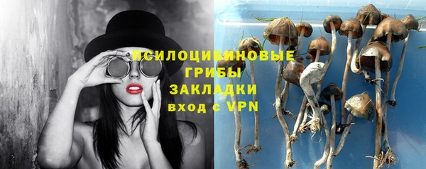 а пвп мука Медногорск
