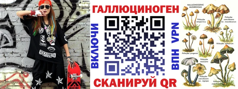 дарк нет наркотические препараты  МЕГА ссылка  Хадыженск  купить наркотик  Псилоцибиновые грибы Psilocybe 